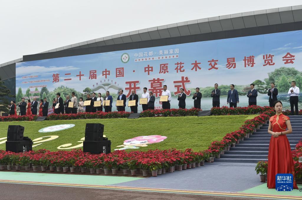 支付宝棋牌平台